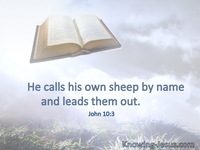 John 10:3